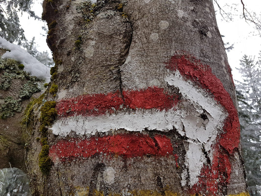 Willkommen 2026 - hier geht´s lang...