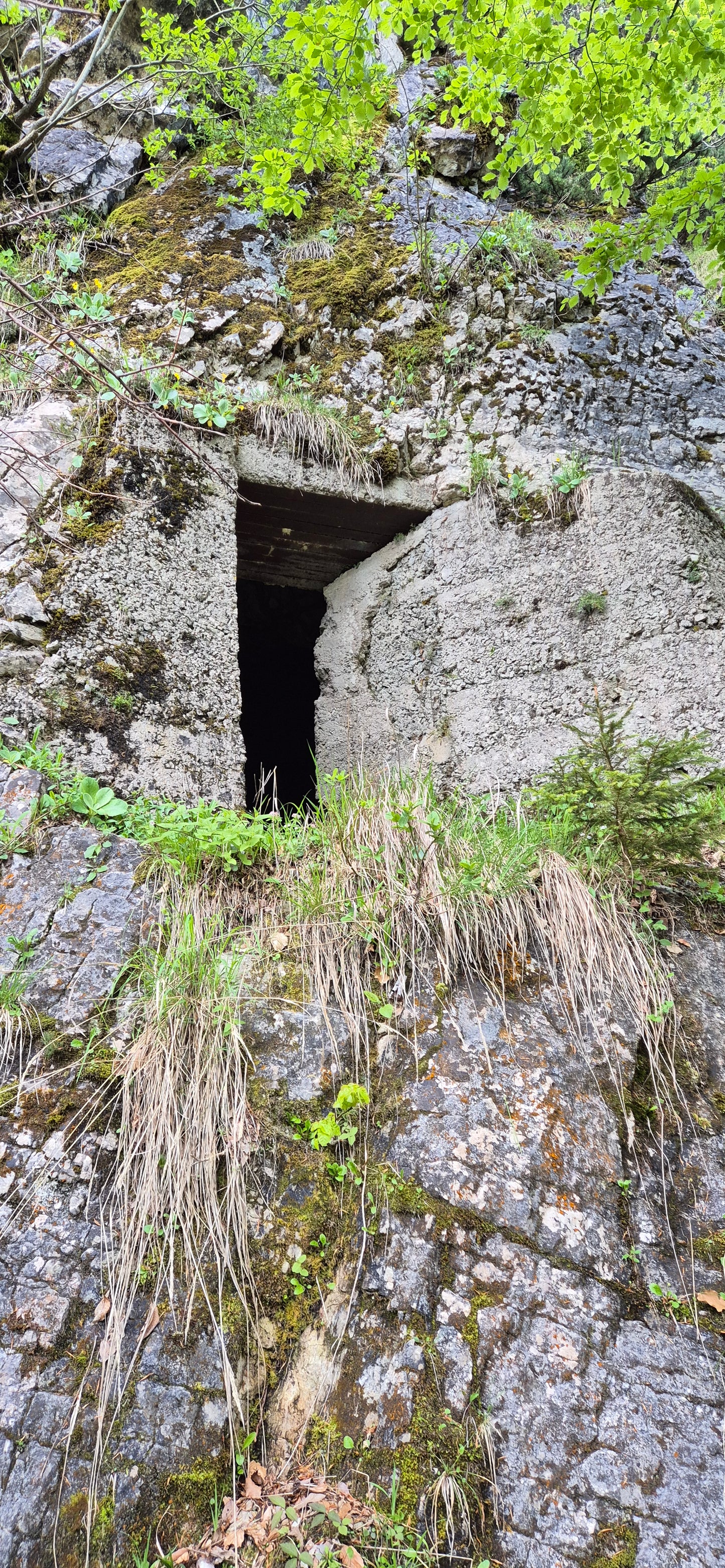GeMa hiking - Themed hike - Border trails - Nabois shoulder